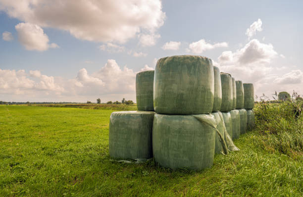 Silage Film