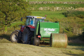 baler twine